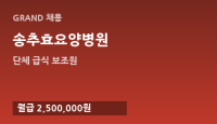 송추효요양병원